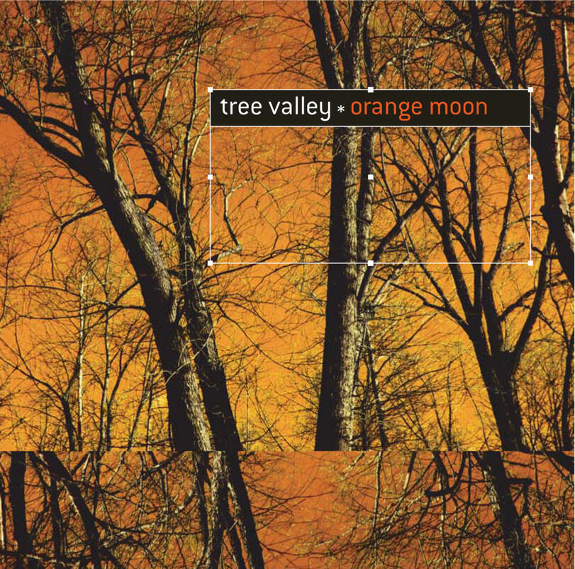 TREE VALLEY Orange Moon (Album - CD - 2008)